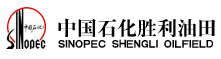中国石化集团胜利石油管理局有限公司