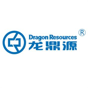 北京龙鼎源科技股份有限公司