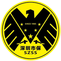 深圳市保安服务有限公司