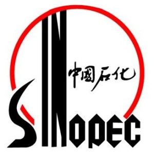 中国石油化工股份有限公司齐鲁分公司