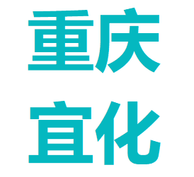 重庆湘渝盐化有限责任公司