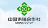 中国供销电子商务有限公司