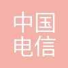 中国电信国际有限公司