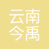 云南今禹生态工程咨询有限公司