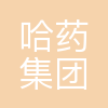 哈药集团