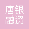 天津唐银融资租赁有限公司