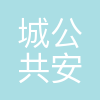深圳市城市公共安全技术研究院有限公司