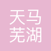 天马(芜湖)微电子有限公司