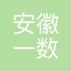 安徽一数一人工智能科技有限公司
