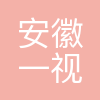 安徽一视科技有限公司