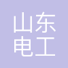 山东电工配网科技