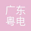 广东粤电惠新热电有限公司