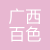 广西百色益众投资集团有限公司