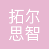 拓尔思智能