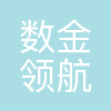 数金领航者