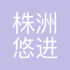 株洲悠进电装有限公司