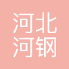 河北河钢大河装备集团有限公司