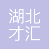 才汇投资