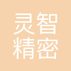 灵智精密科技(南京)有限公司