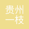 贵州一枝梅信息科技有限公司