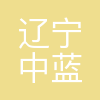 辽宁中蓝光电科技有限公司