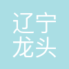 辽宁龙头科技有限公司