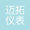 迈拓仪表