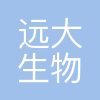 杭州远大