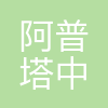 阿普塔(中国)投资有限公司