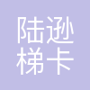 陆逊梯卡华宏