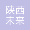 陕西未来能源化工有限公司