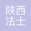 陕西法士特松正电驱系统股份有限公司