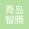 智腾科技