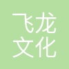 长沙市飞龙文化传播有限公司