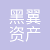 上海黑翼资产管理有限公司