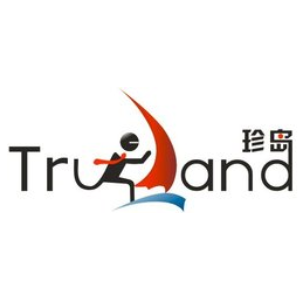 珍岛集团