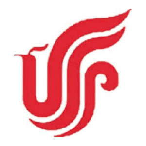中国国际航空股份有限公司西南分公司