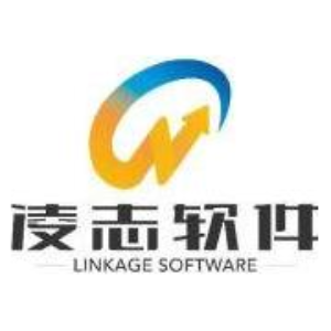 凌志软件