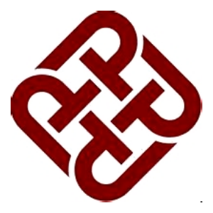 香港理工大学