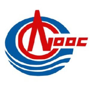 山东华宇工程造价咨询有限公司