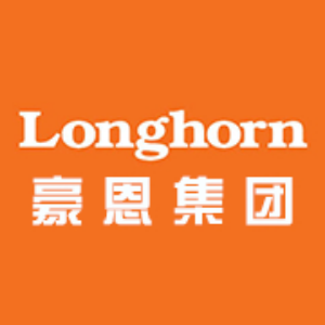 深圳市豪恩科技集团股份有限公司