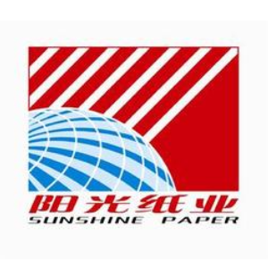 山东世纪阳光纸业集团