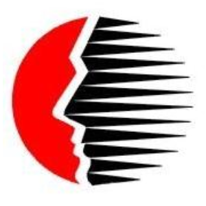 深圳国人通信股份有限公司