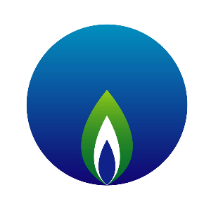 深圳市燃气集团股份有限公司