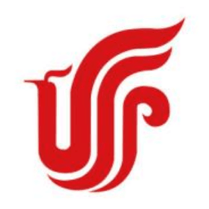 中国国际航空股份有限公司信息管理部