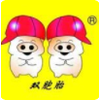 双胞胎集团