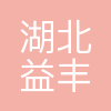 益丰大药房