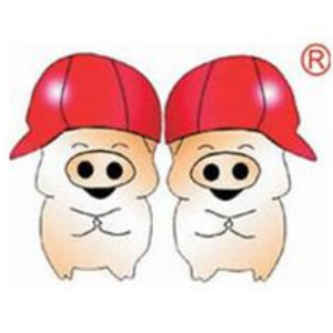 双胞胎(集团)股份有限公司