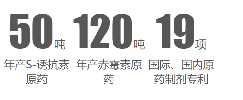 2222********2222.png
