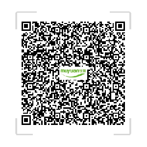 889889898.png